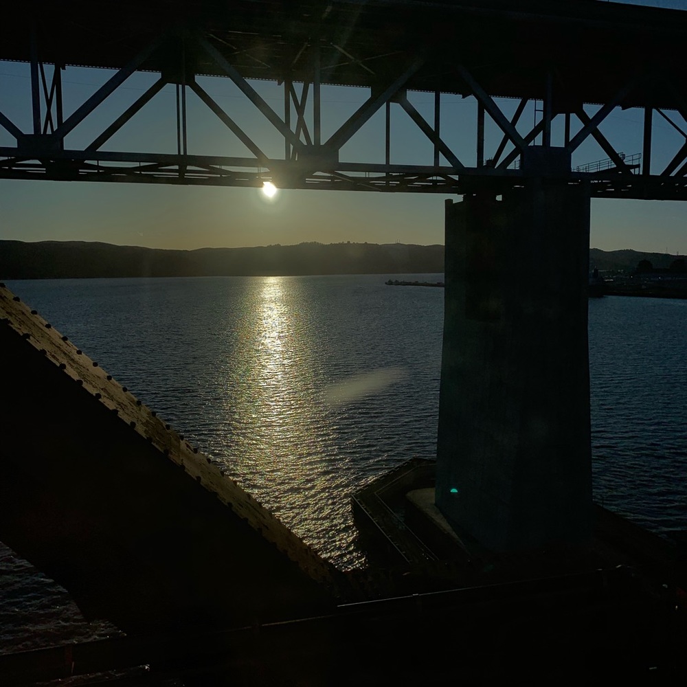 Meet your Posher, Noah and Lukas